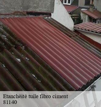 Etanchèité tuile fibro ciment montels-81140 Entreprise JACQUET