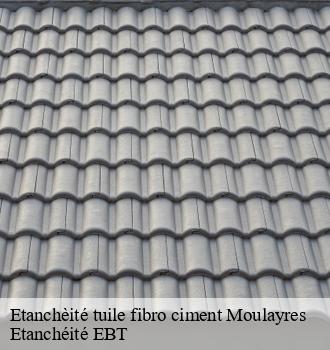 Etanchèité tuile fibro ciment  moulayres-81300 Etanchéité EBT