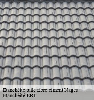 Etanchèité tuile fibro ciment  nages-81320 Etanchéité EBT