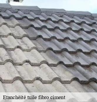 Etanchèité tuile fibro ciment  nages-81320 Etanchéité EBT