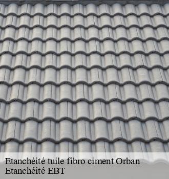 Etanchèité tuile fibro ciment  orban-81120 Etanchéité EBT