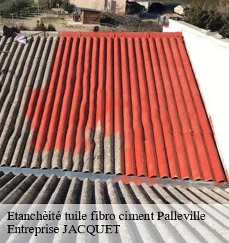 Etanchèité tuile fibro ciment palleville-81700 Entreprise JACQUET