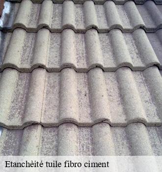 Etanchèité tuile fibro ciment  puycalvel-81440 Etanchéité EBT