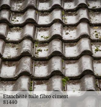 Etanchèité tuile fibro ciment  puycalvel-81440 Etanchéité EBT