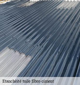 Etanchèité tuile fibro ciment puycelci-81140 Entreprise JACQUET
