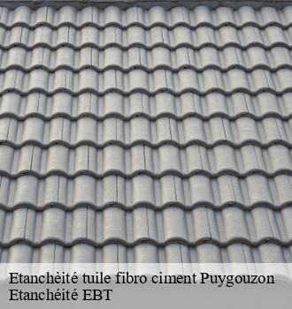 Etanchèité tuile fibro ciment  puygouzon-81990 Etanchéité EBT