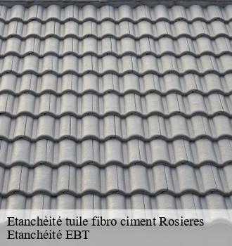 Etanchèité tuile fibro ciment  rosieres-81400 Etanchéité EBT