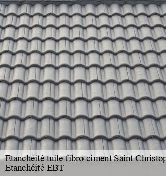 Etanchèité tuile fibro ciment  saint-christophe-81190 Etanchéité EBT