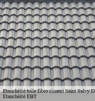 Etanchèité tuile fibro ciment  saint-salvy-de-la-balme-81490 Etanchéité EBT