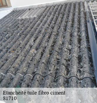 Etanchèité tuile fibro ciment saix-81710 Entreprise JACQUET