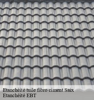 Etanchèité tuile fibro ciment  saix-81710 Etanchéité EBT