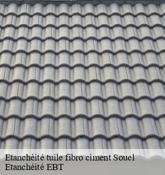 Etanchèité tuile fibro ciment  souel-81170 Etanchéité EBT