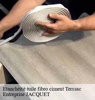 Etanchèité tuile fibro ciment terssac-81150 Entreprise JACQUET