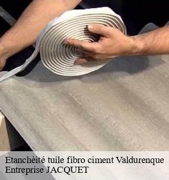 Etanchèité tuile fibro ciment  valdurenque-81090 Entreprise JACQUET