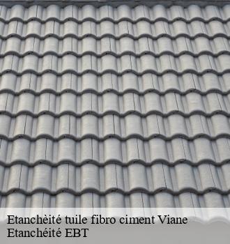 Etanchèité tuile fibro ciment  viane-81530 Etanchéité EBT