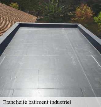 Etanchéité batiment industriel  lamontelarie-81260 Etanchéité EBT