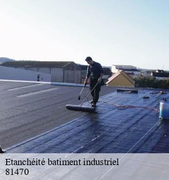 Etanchéité batiment industriel  maurens-scopont-81470 Entreprise JACQUET