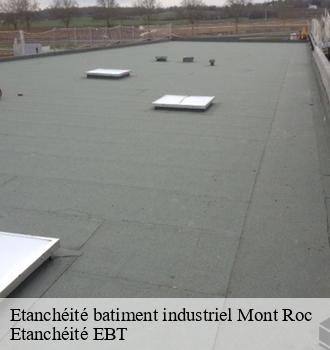Etanchéité batiment industriel  mont-roc-81120 Etanchéité EBT