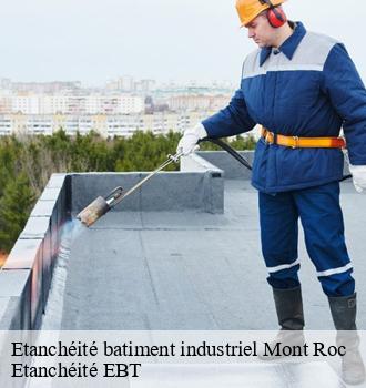 Etanchéité batiment industriel  mont-roc-81120 Etanchéité EBT