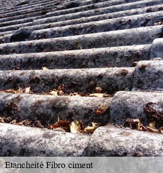 Etancheité Fibro ciment albi-81000 Entreprise JACQUET