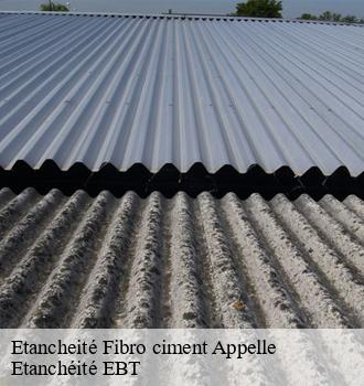 Etancheité Fibro ciment  appelle-81700 Etanchéité EBT