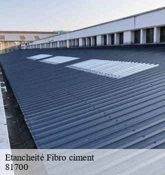 Etancheité Fibro ciment bertre-81700 Entreprise JACQUET