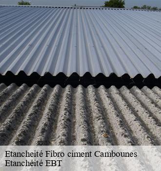 Etancheité Fibro ciment  cambounes-81260 Etanchéité EBT