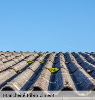 Etancheité Fibro ciment  cambounes-81260 Etanchéité EBT