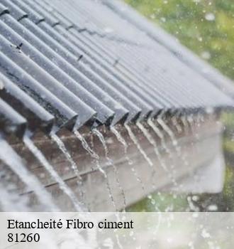 Etancheité Fibro ciment  cambounes-81260 Etanchéité EBT