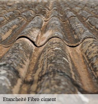 Etancheité Fibro ciment  cambounes-81260 Etanchéité EBT