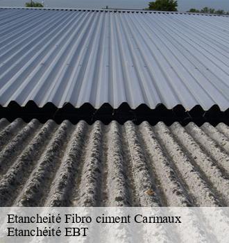 Etancheité Fibro ciment  carmaux-81400 Etanchéité EBT