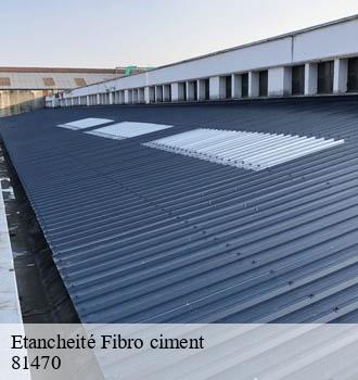 Etancheité Fibro ciment cuq-toulza-81470 Entreprise JACQUET