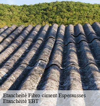 Etancheité Fibro ciment  esperausses-81260 Etanchéité EBT