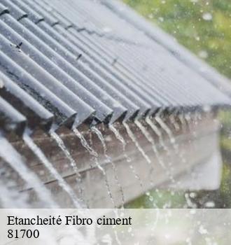 Etancheité Fibro ciment  garrevaques-81700 Etanchéité EBT