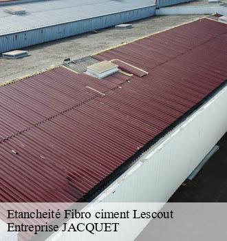 Etancheité Fibro ciment lescout-81110 Entreprise JACQUET