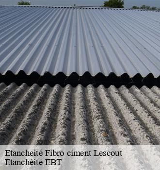 Etancheité Fibro ciment  lescout-81110 Etanchéité EBT