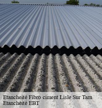 Etancheité Fibro ciment  lisle-sur-tarn-81310 Etanchéité EBT