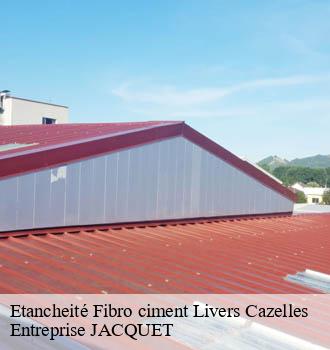 Etancheité Fibro ciment livers-cazelles-81170 Entreprise JACQUET