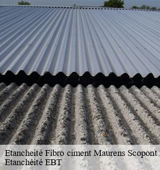 Etancheité Fibro ciment  maurens-scopont-81470 Etanchéité EBT
