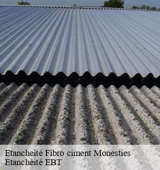 Etancheité Fibro ciment  monesties-81640 Etanchéité EBT