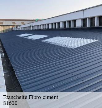 Etancheité Fibro ciment montans-81600 Entreprise JACQUET