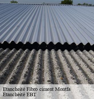 Etancheité Fibro ciment  montfa-81210 Etanchéité EBT