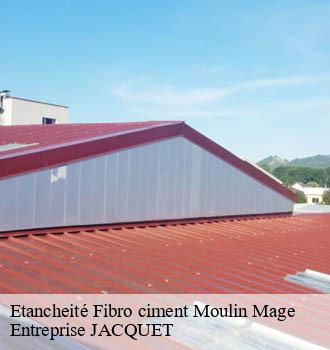 Etancheité Fibro ciment moulin-mage-81320 Entreprise JACQUET
