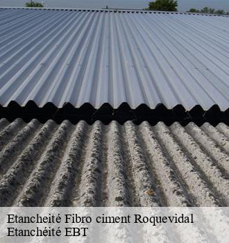 Etancheité Fibro ciment  roquevidal-81470 Etanchéité EBT