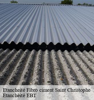 Etancheité Fibro ciment  saint-christophe-81190 Etanchéité EBT
