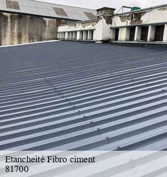 Etancheité Fibro ciment saint-germain-des-pres-81700 Entreprise JACQUET