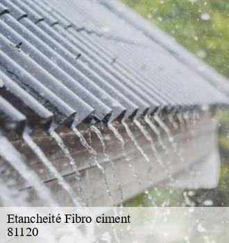Etancheité Fibro ciment  sieurac-81120 Etanchéité EBT