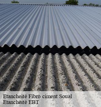 Etancheité Fibro ciment  soual-81580 Etanchéité EBT