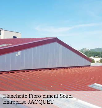 Etancheité Fibro ciment  souel-81170 Entreprise JACQUET