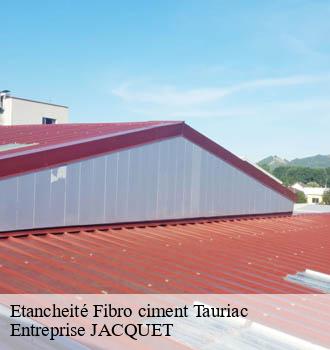 Etancheité Fibro ciment tauriac-81630 Entreprise JACQUET